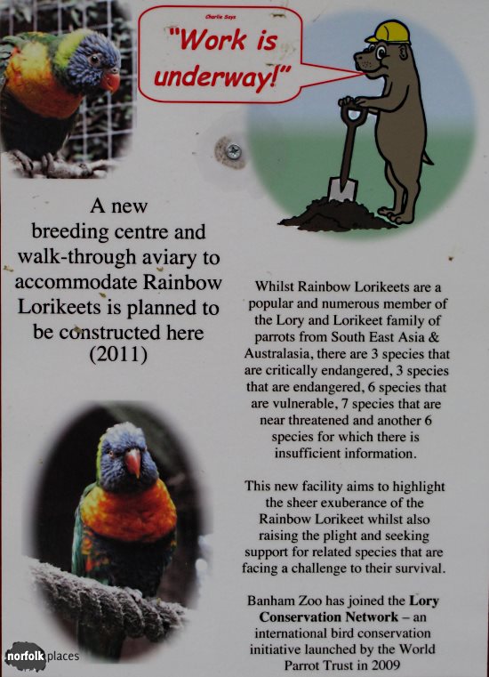 Banham zoo - lorikeets