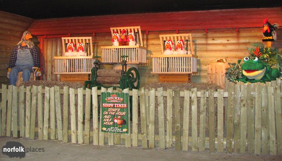 Chicken Show at Pettitts Animal Adventure Park