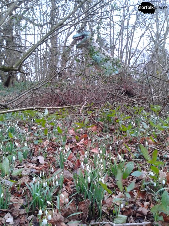 Snowdrops and T-Rex