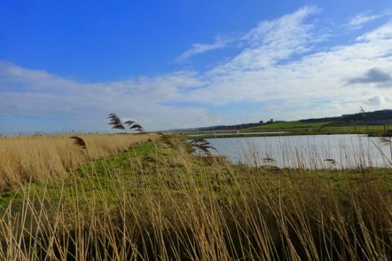 Pope's-Marsh,-Cley-Marshes-credit-Nicky-Talbot