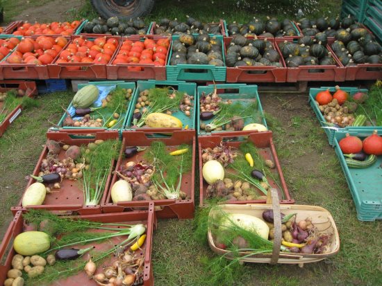Norwich Norwich Farmshare - Boxes of produce - Boxes of produce