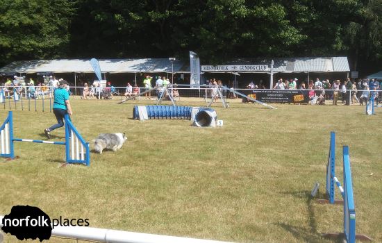 dog course at Norfolk Show