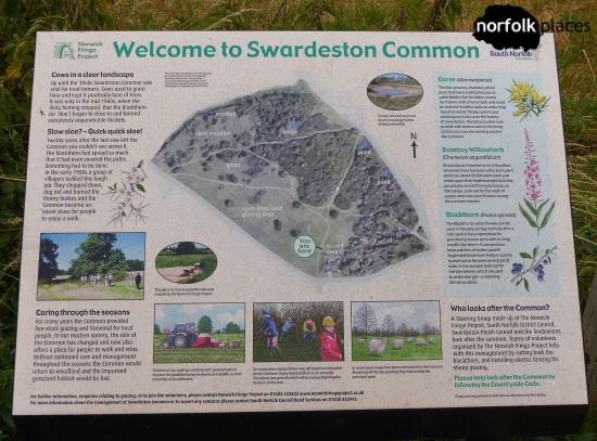 Swardeston Common