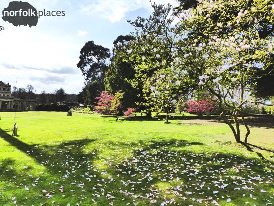 Somerleyton Hall Gardens - blossom on the grass